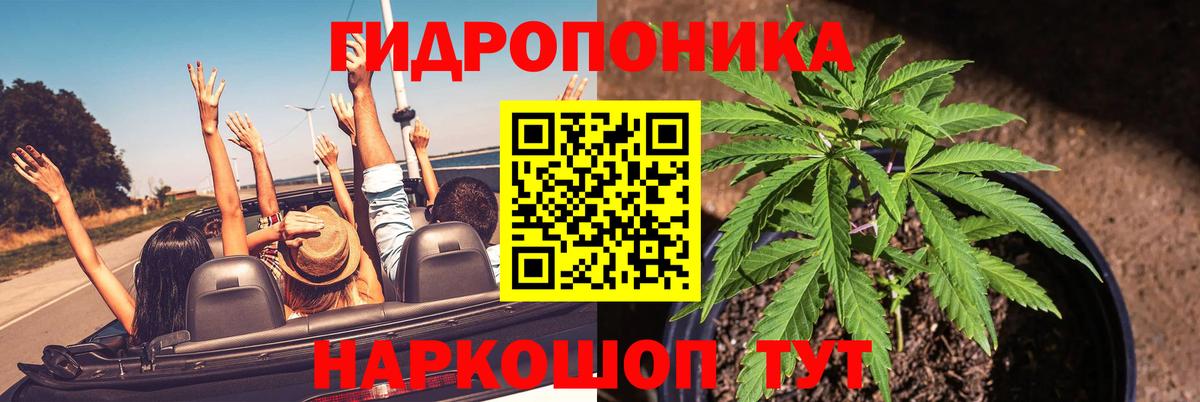 Канабис MAZAR Сосновый Бор